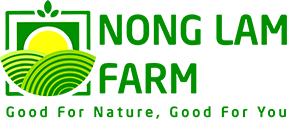 Nông Lâm Farm – Nông sản sạch và các sản phẩm từ nông sản