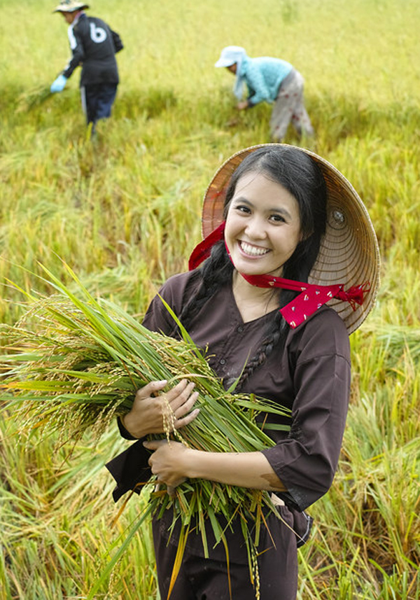 người nông dân Việt Nam